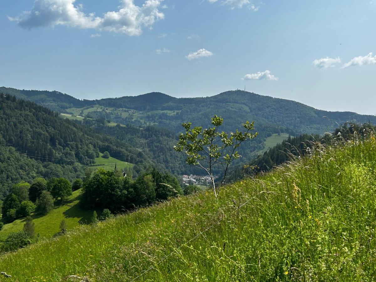 Cella Apartments **** Zell im Wiesenthal Экстерьер фото